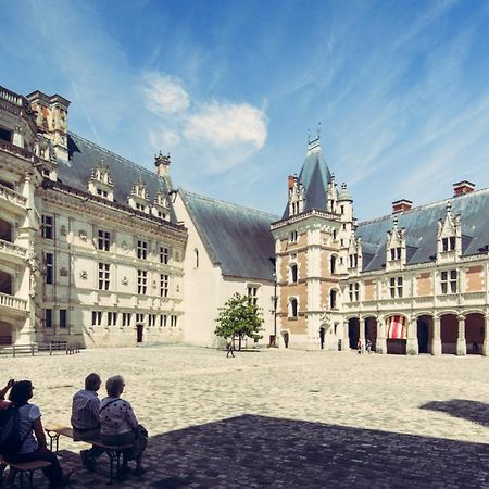 Gîte de la tour de Loire 65 m2 au pied d'une tour du 17ème Mer Esterno foto