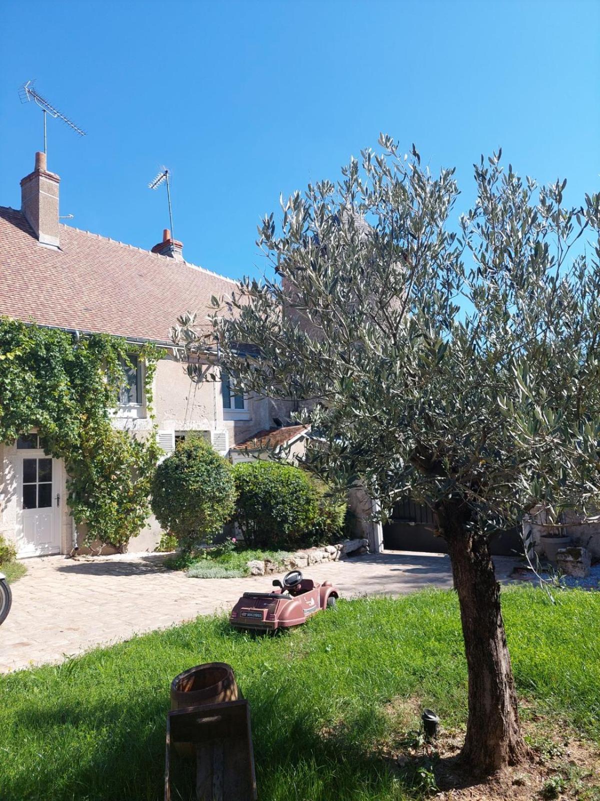 Gîte de la tour de Loire 65 m2 au pied d'une tour du 17ème Mer Esterno foto